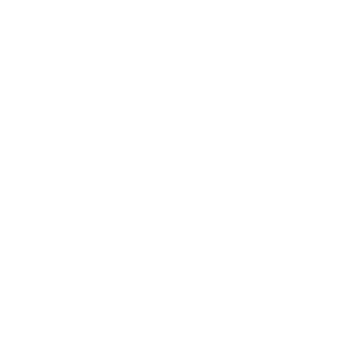 White Skype Icon