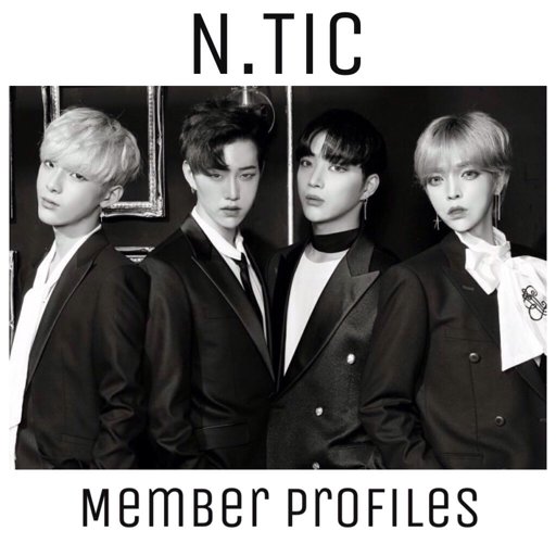 N Tic Member Profiles! K Pop Amino