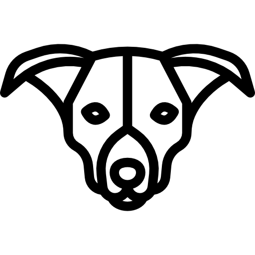 Border Collie Icons Free Download