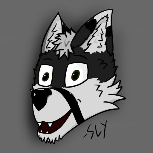 Sly The Fox Furry Amino