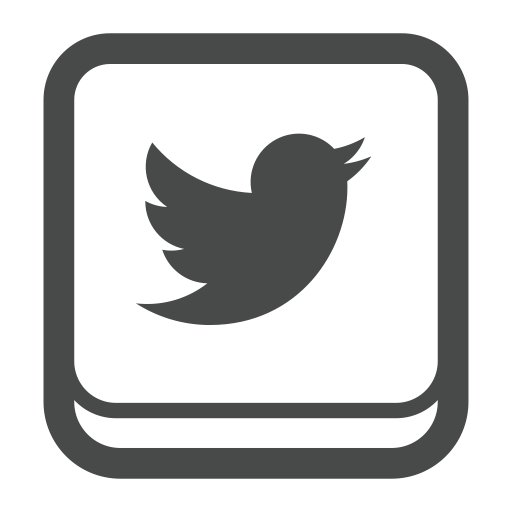 Social Media Twitter Glyph Icon