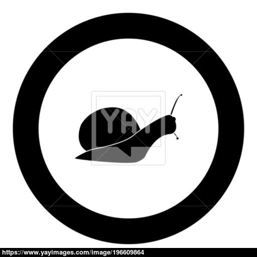 Snail Silhouette Icon Black Color In Circle Vector