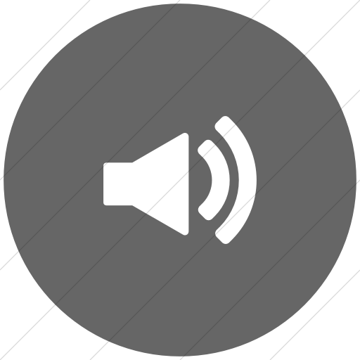 Flat Circle White On Gray Foundation Volume Icon