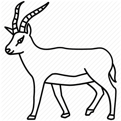 Africa, Antelope, Blackbuck, Bushbuck, Gazelle, South, Springbok Icon