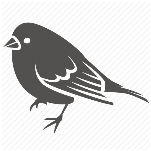 Bird, Canary, Finch, Pet, Small, Sparrow Icon