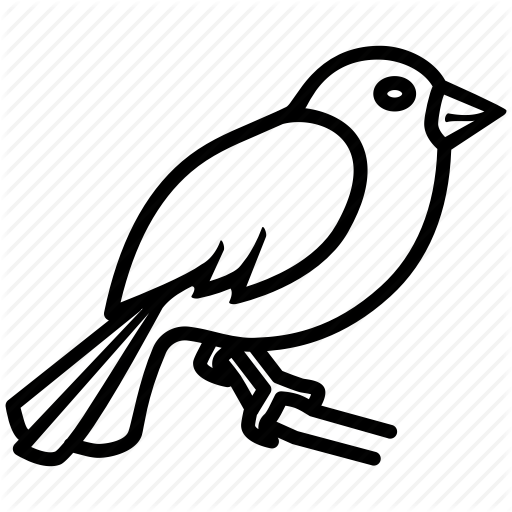 Bird, Chick, Nature, Pigeon, Seed, Sparrow Icon