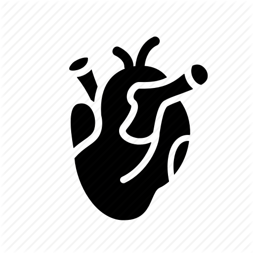 Heart, Human, Internal, Organs, Science Icon