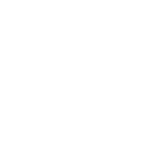 White Speed Icon