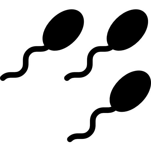 Sperm