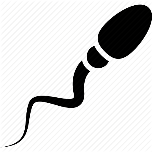 Cell, Human, Man, Sex, Sperm Icon