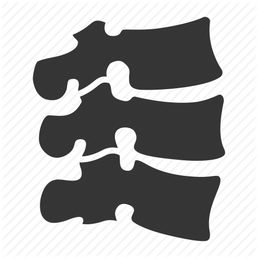 Chiropractic, Spine, Therapy Icon