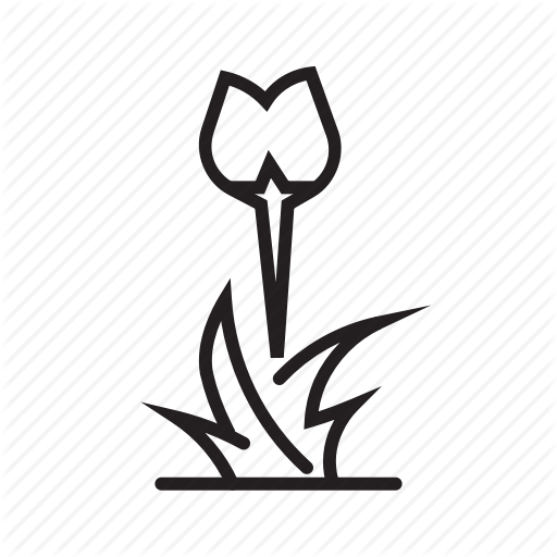 Floral, Flowering Season, Garden, Grass, Nature, Spring Icon