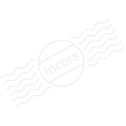 Iconexperience M Collection Spy Icon