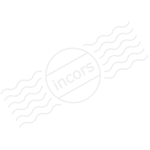 Iconexperience M Collection Magnifying Glass Icon