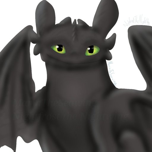 Nightfrost The Nightwing Dragons! Amino