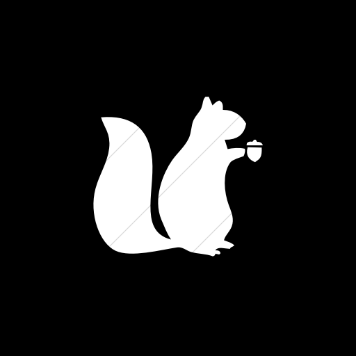 Flat Square White On Black Animals Squirrel Icon