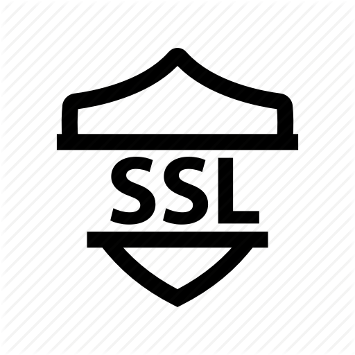Defense, Shield, Ssl, Tls Icon