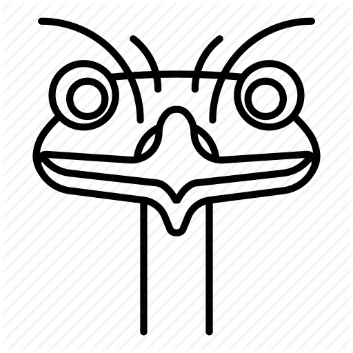 Animal, Austrich, Bird, Emu Icon