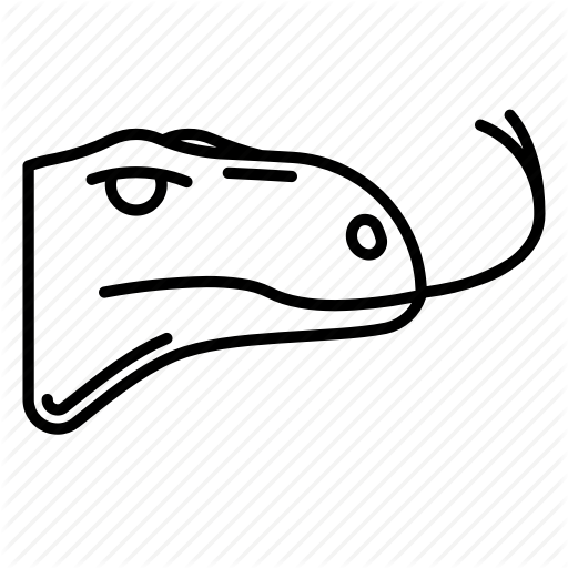 Animal, Komodo Dragon, Lizard, Predator Icon