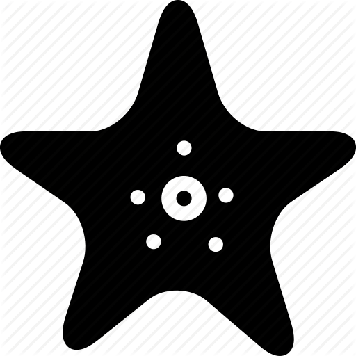 Badge, Best, Creative, Grid, Ocean, Sea, Sea Stars, Shape, Star
