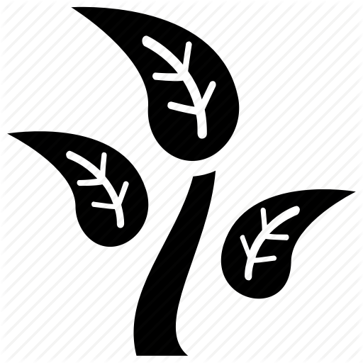 Botanical Leaves, Leaf Branch, Leaf Stem, Leaves, Plant Icon