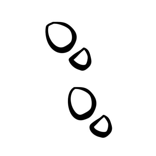 Foot Steps Icon