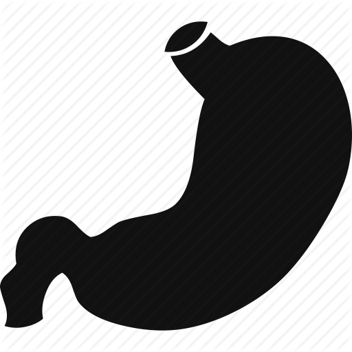 Body, Bodypart, Healthcare, Part, Stomath Icon