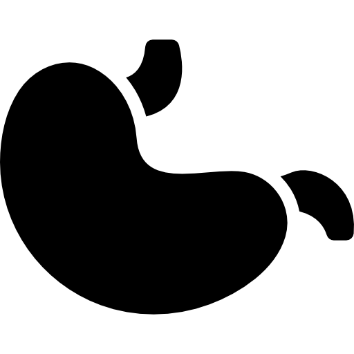 Stomach Icon In The Hospital Freepik