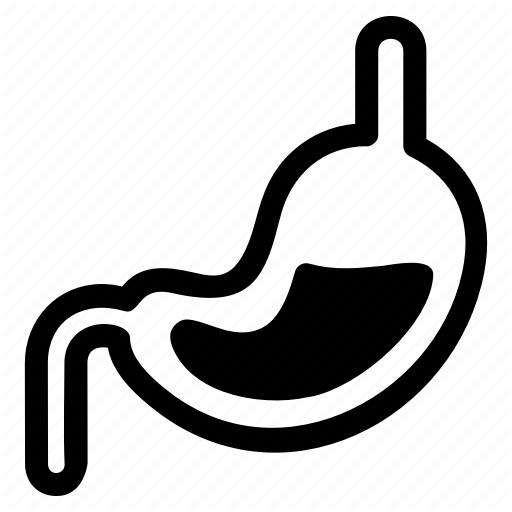 Healthcare, Hospital, Medical, Organs, Stomach Icon