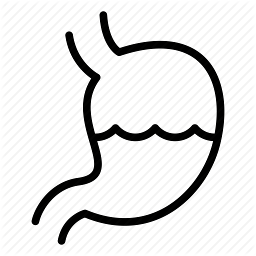Stomach Icon Free Icons
