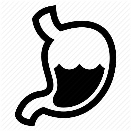 Anatomy, Digestion, Gastritis, Gastroenterologist, Medicine, Organ