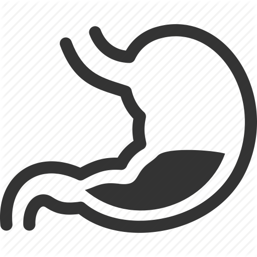 Digestion, Gastroenterology, Stomach Icon