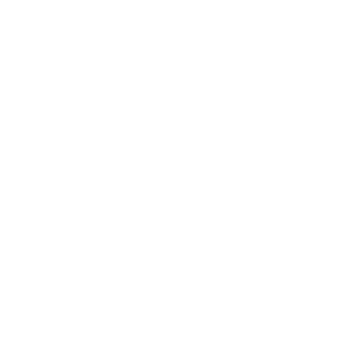 White Stopwatch Icon