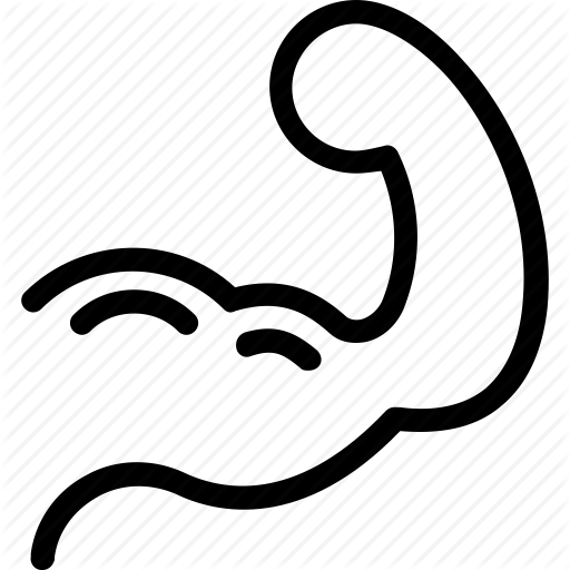 Bic Fitness, Muscle, Muscular Arm, Strong Arm Icon
