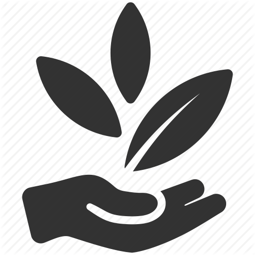 Nature Outdoor Recreation Forest Grove Oregon