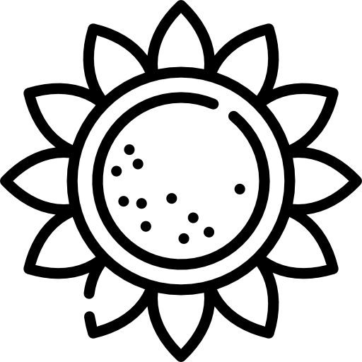 Sunflower Icon Thanks Giving White Freepik