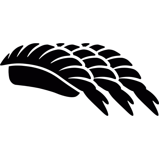 Sushi Prawn Png Icon