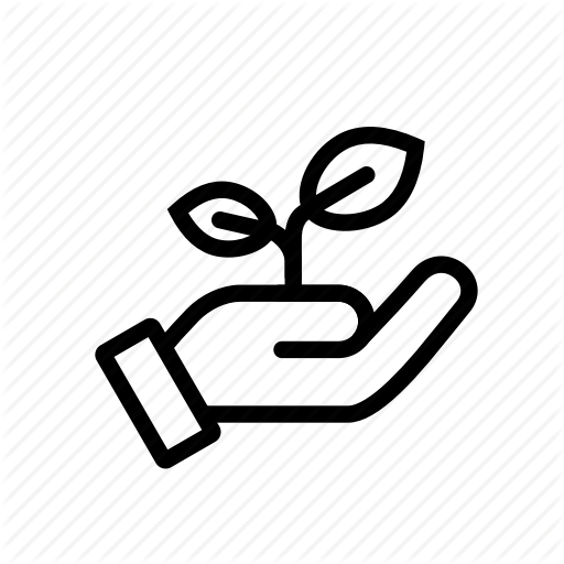 Development, Eco, Friendly, Growth, Hand, Personal, Sustainability