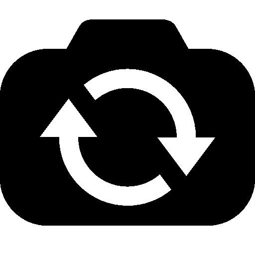 Photo Video Switch Camera Icon Windows Iconset