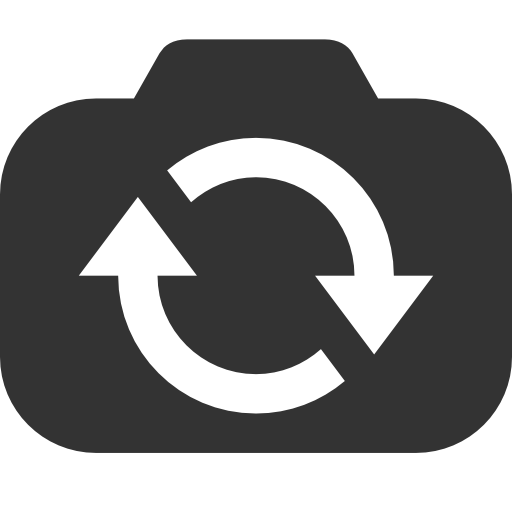 Switch, Camera Icon Free Of Windows Icon