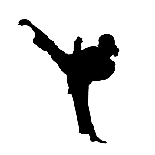 Taekwondo Silhouette Clip Art at GetDrawings | Free download