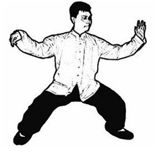 Learn Tai Chi Apk