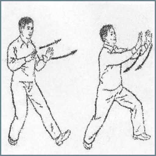 Tai Chi Movement Apk