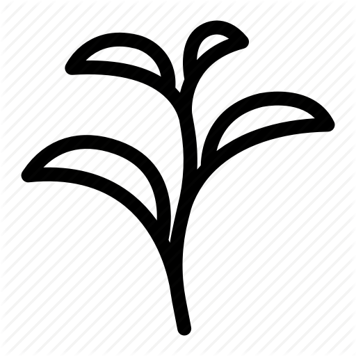 Herbal, Leaf, Plant, Tea, Tea Leaves Icon