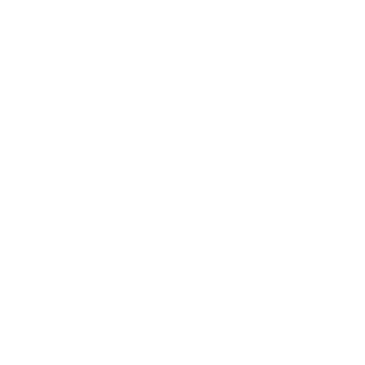 Specialty Services National Ambulance