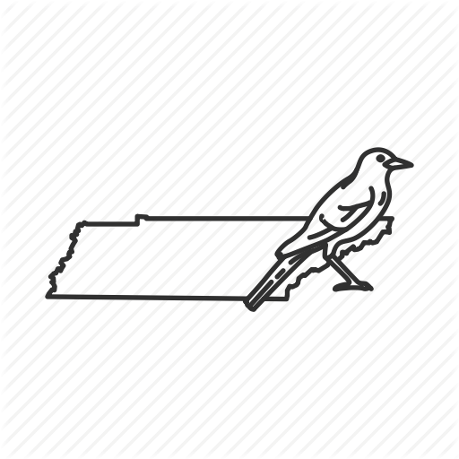 Borders, Map, State, State Bird, State Symbol, Tennessee, Usa Icon