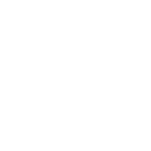 Tennis Icon Ann Arbor Tennis Academy