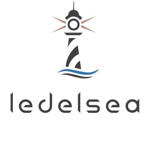 Ledelsea