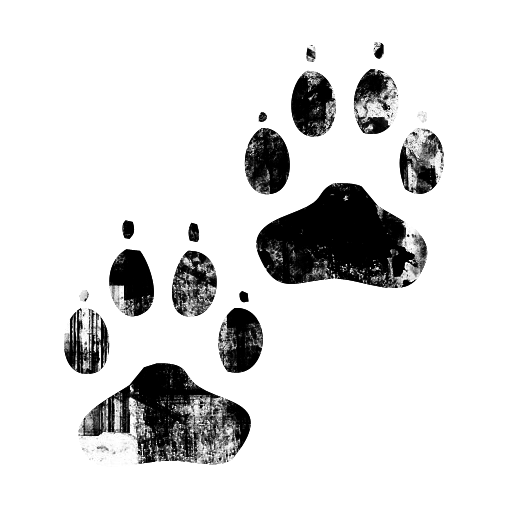 Black Ink Grunge Stamp Texture Icon Animals Paw