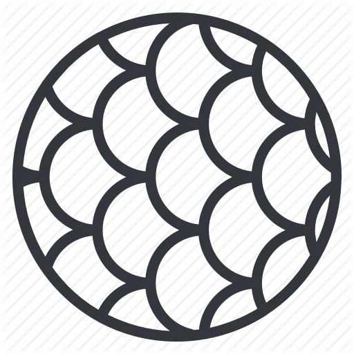 Animal, Aquarium, Fish, Scales, Skin, Texture, Yummy Icon